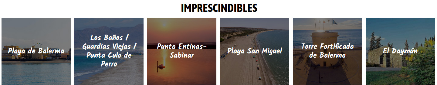 20 Congreso SAFH - Imprescindibles en El Ejido